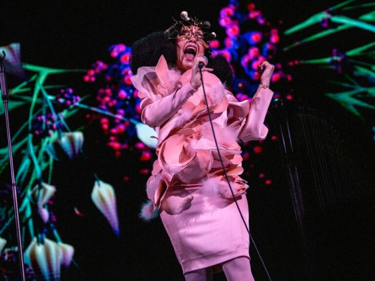 Björk performing live