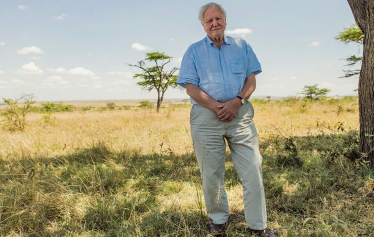 Sir David Attenborough poses live