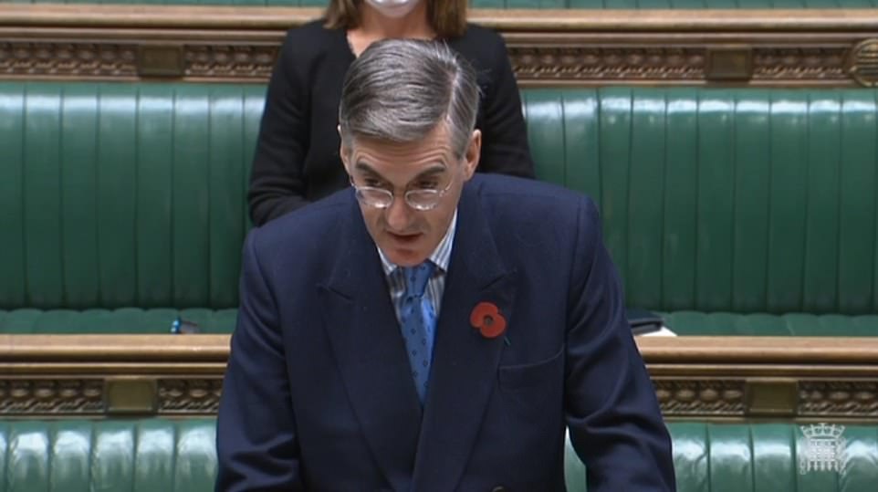 Jacob Rees Mogg in House of Commons
