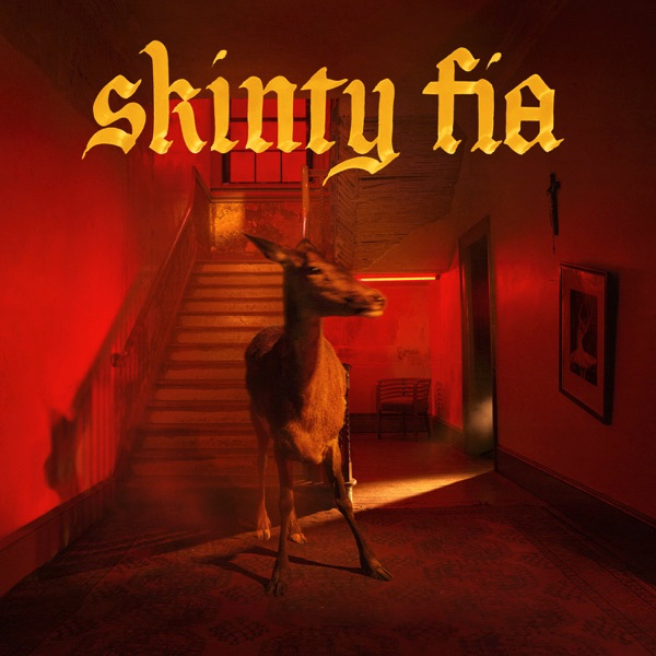 Fontaines D.C.’s Skinty Fia album cover