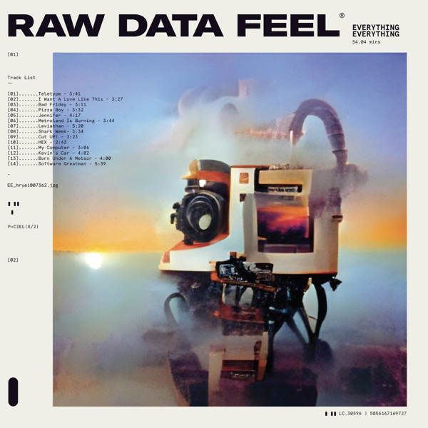 Everything Everything, Raw Data Feel album art