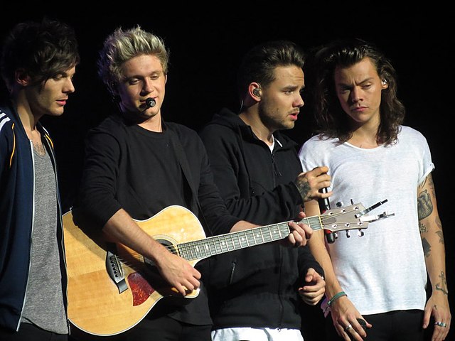 One Direction in 2015