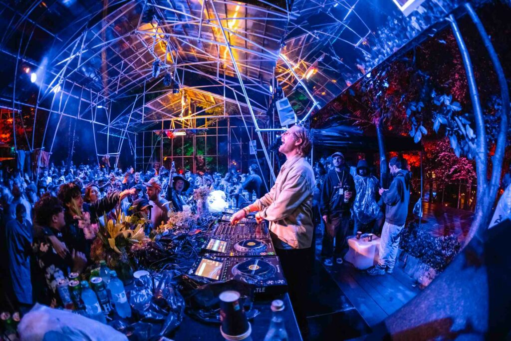 A lively DJ set with a packed crowd at Electric Castle 2025