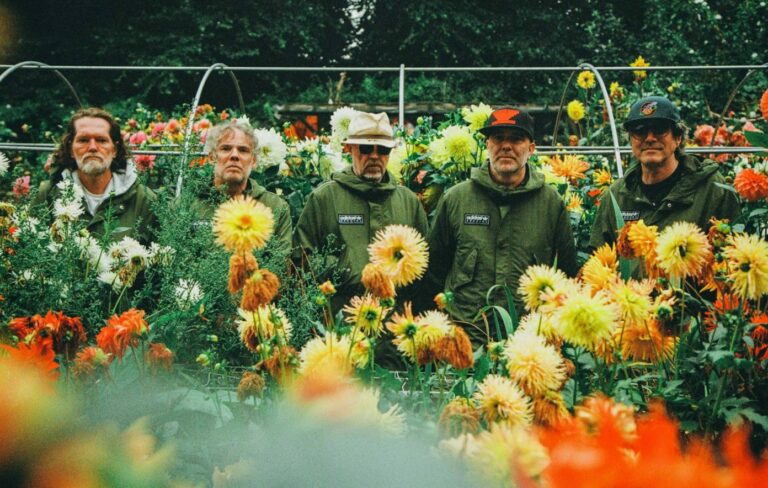 Super Furry Animals posing for a press photo in a garden with sunflowers