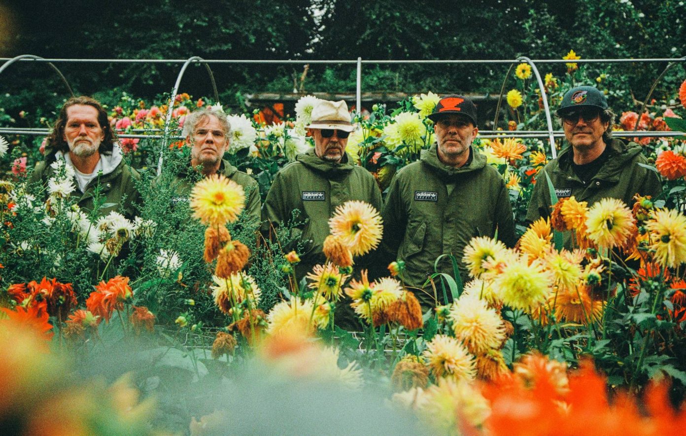 Super Furry Animals posing for a press photo in a garden with sunflowers